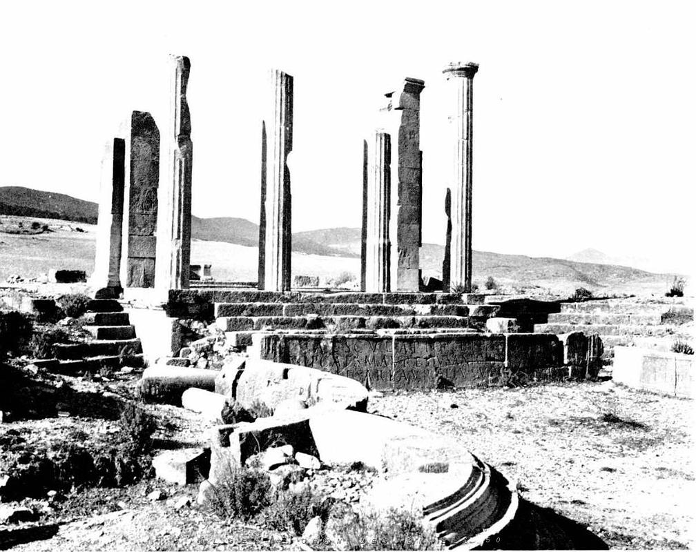 ALGERIE-RUINES ROMAINES DE LAMBESE (55).jpg